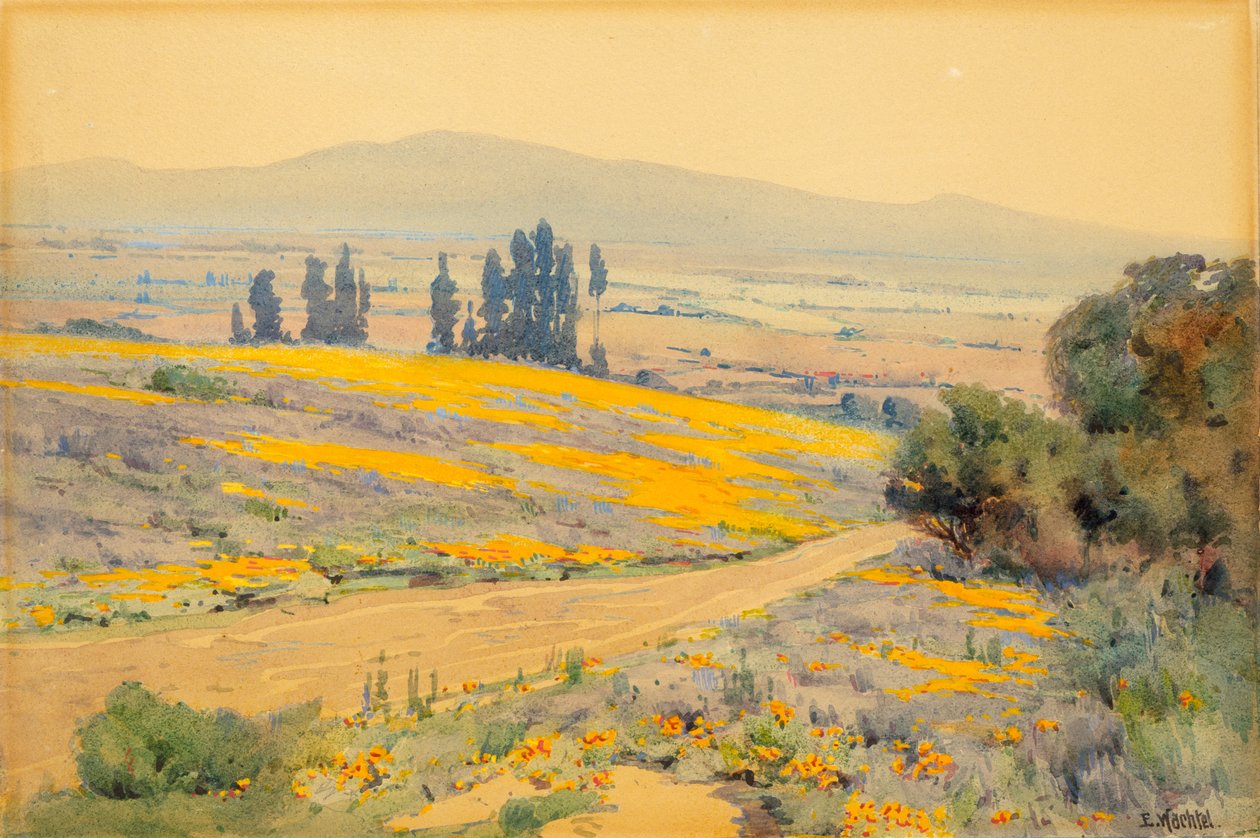 Frühlingslandschaft in Kalifornien von Elmer Wachtel
