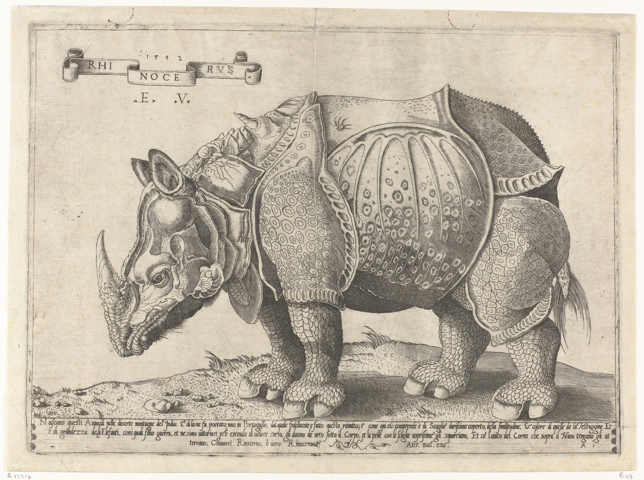 Nashorn von Enea Vico