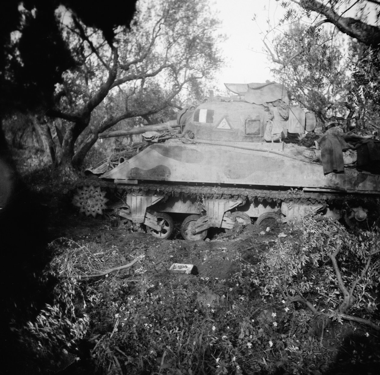 2Tp-Panzer, der auf einem Minenfeld gesprengt wurde, ca. 1944 von English Photographer