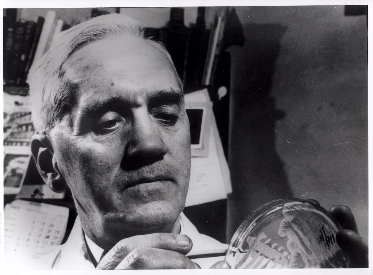 Alexander Fleming (1881-1955) ca. 1945 von English Photographer