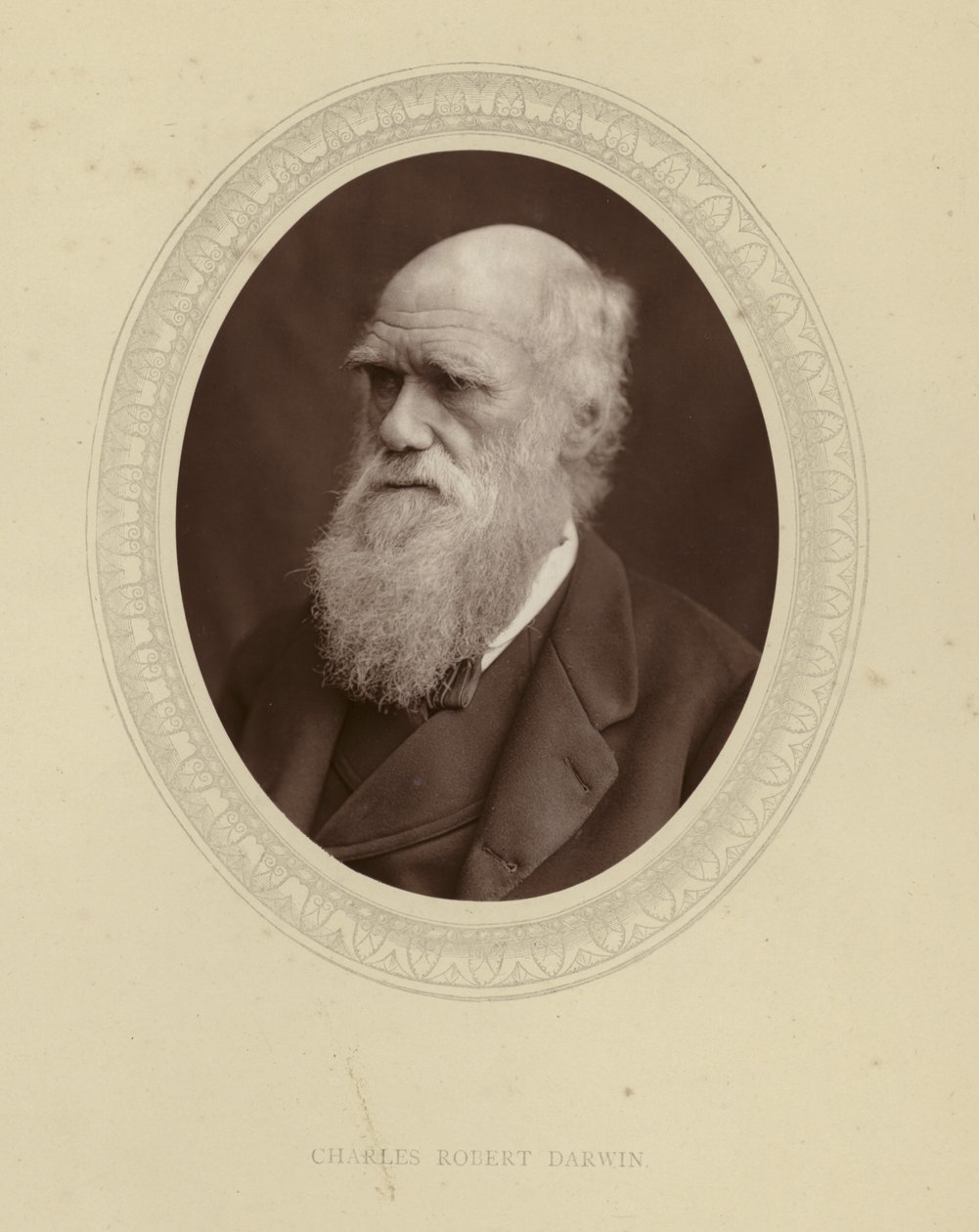 Charles Robert Darwin von English Photographer