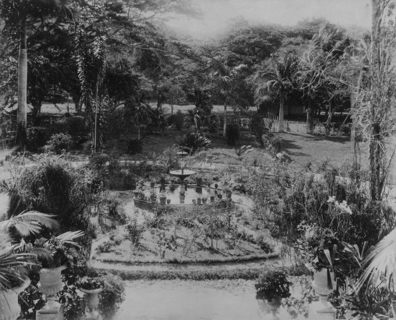 Garten einer Vorstadtvilla, Port of Spain, Trinidad von English Photographer