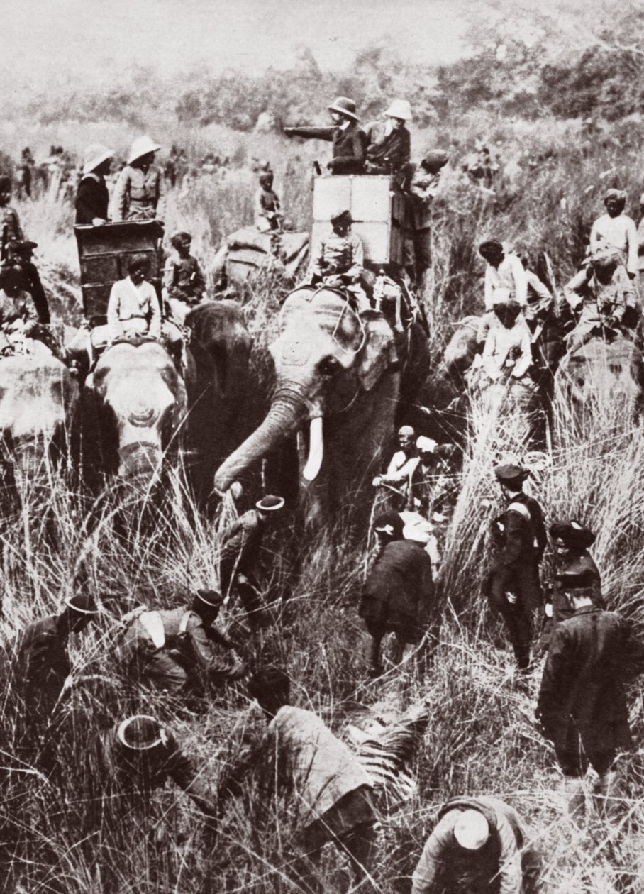 König George auf Tigerjagd in Nepal von English Photographer