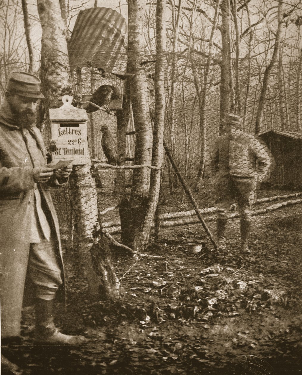 An der französischen Lorraine-Front: Ein Poilus-Camp-Briefkasten und Bussard-Maskottchen, Illustration aus 