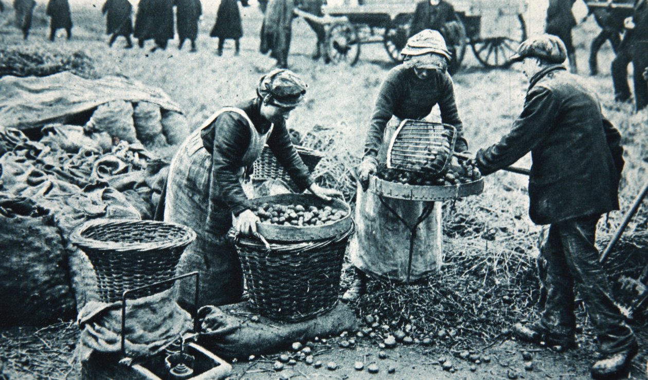 Frauenkriegsarbeiter auf dem Land, Illustration aus The Illustrated War News, 7. März 1917 von English Photographer