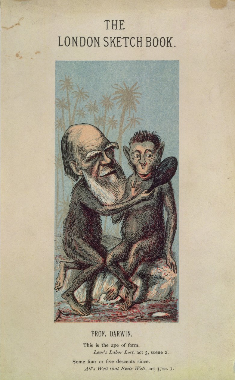 Karikatur von Darwin mit einem Affen, aus dem London Sketch Book, April 1874 Vol 1 No. 4 von English School
