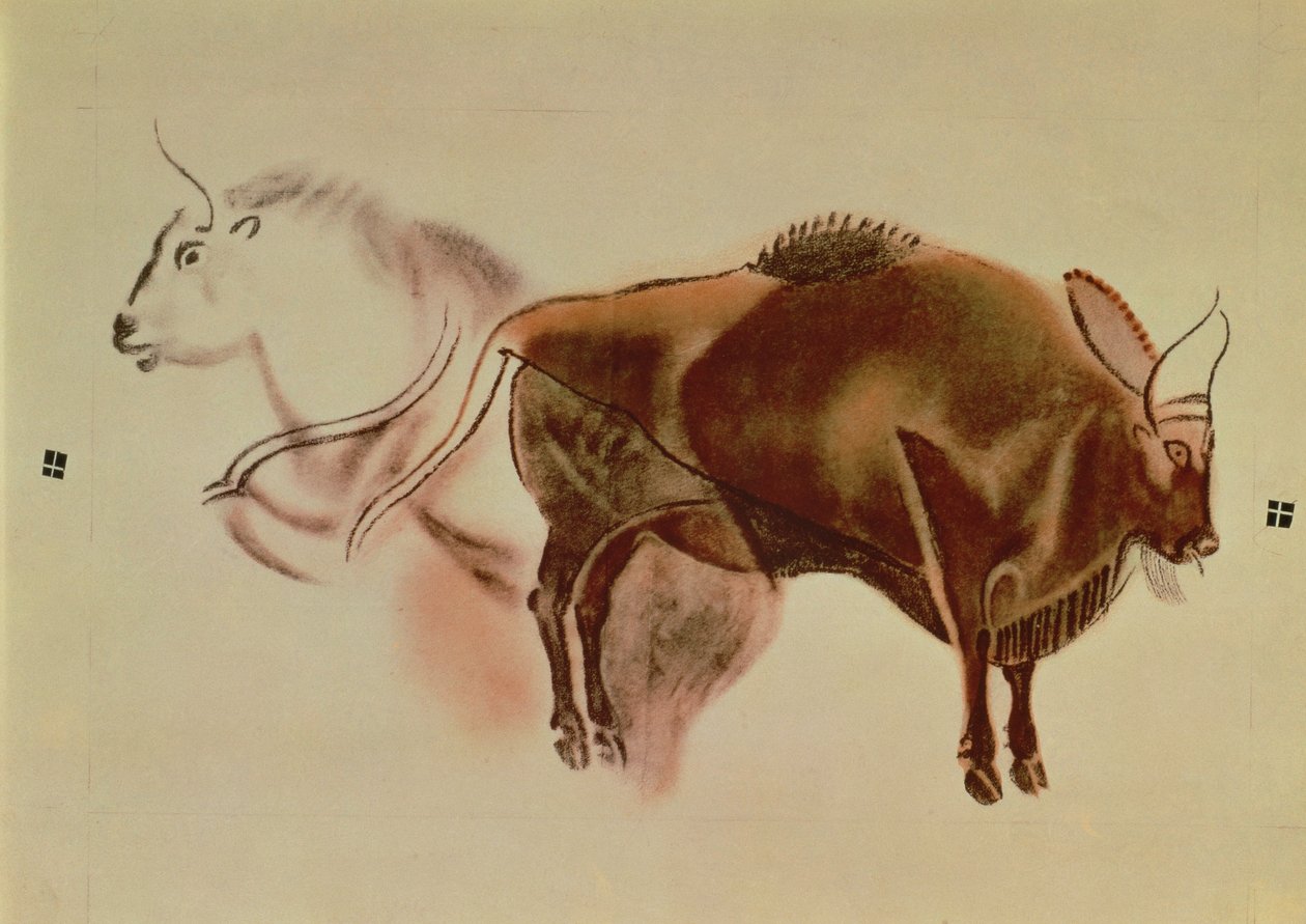 Kopie einer Felsmalerei von zwei Bisons aus c.15000 v. Chr. (Pastell auf Papier) von English School
