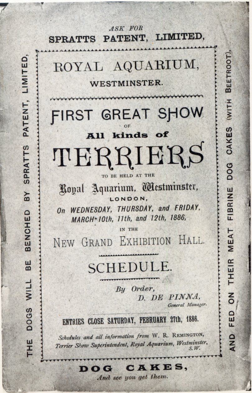 Plakat zur Werbung für die Allied Terrier Club Show im Royal Aquarium, Westminster, 1886 von English School