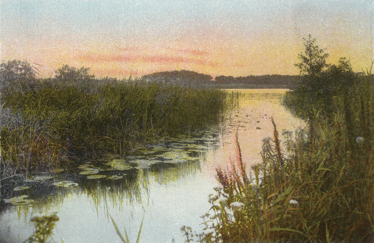 Hoveton Broad von English Photographer