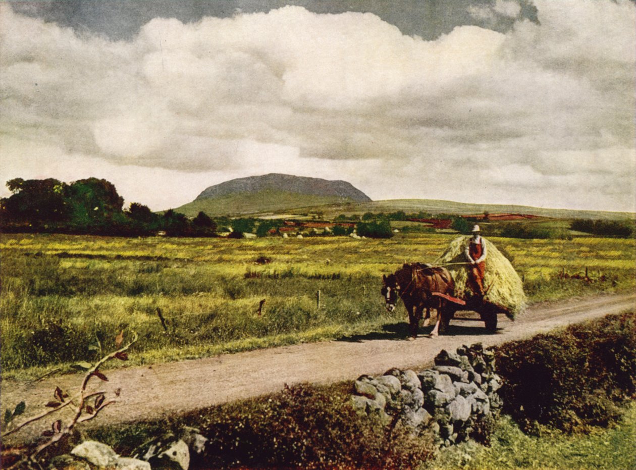 Slemish, County Antrim (Farbfoto) von English Photographer