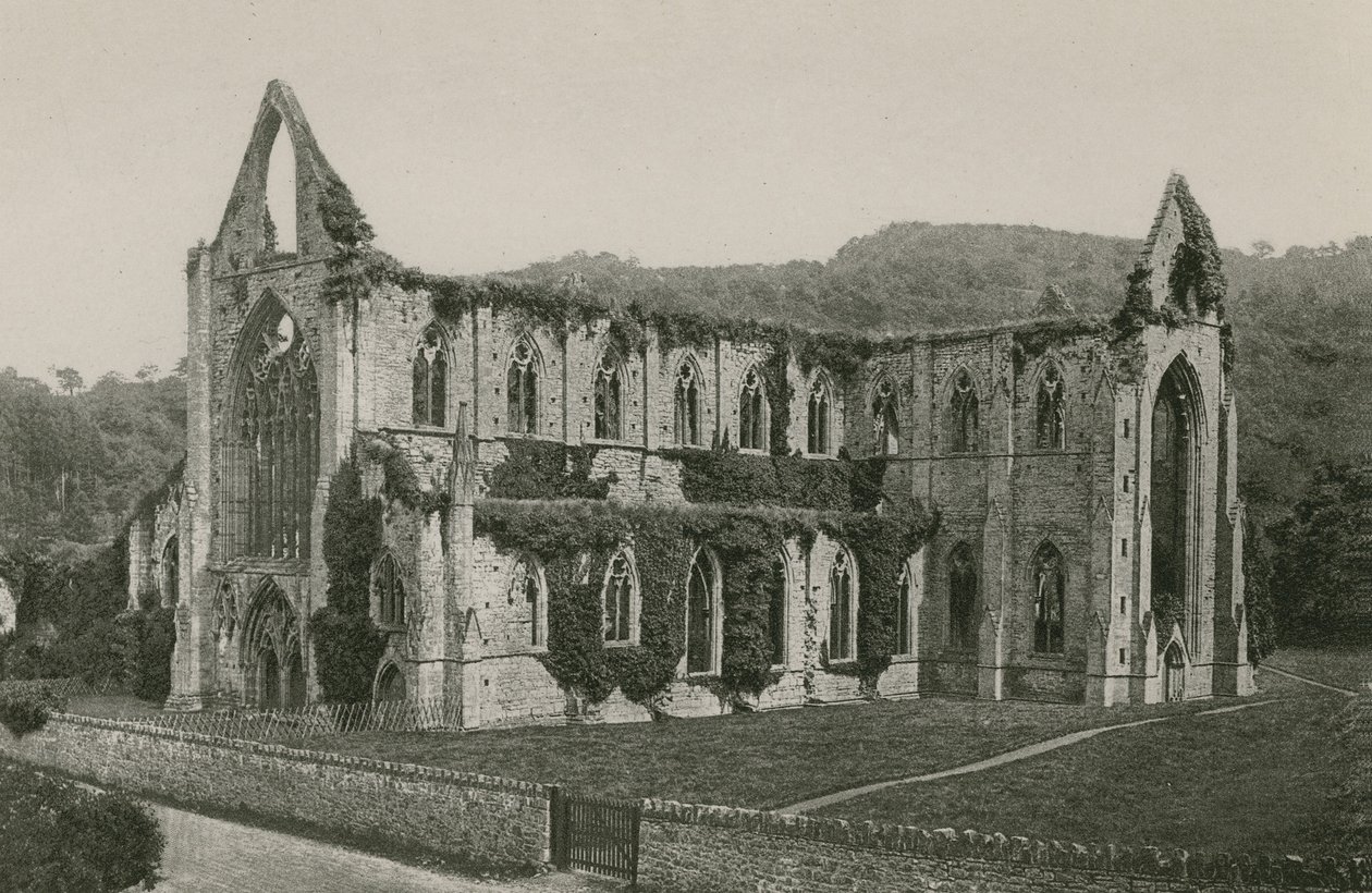 Tintern Abbey von English Photographer