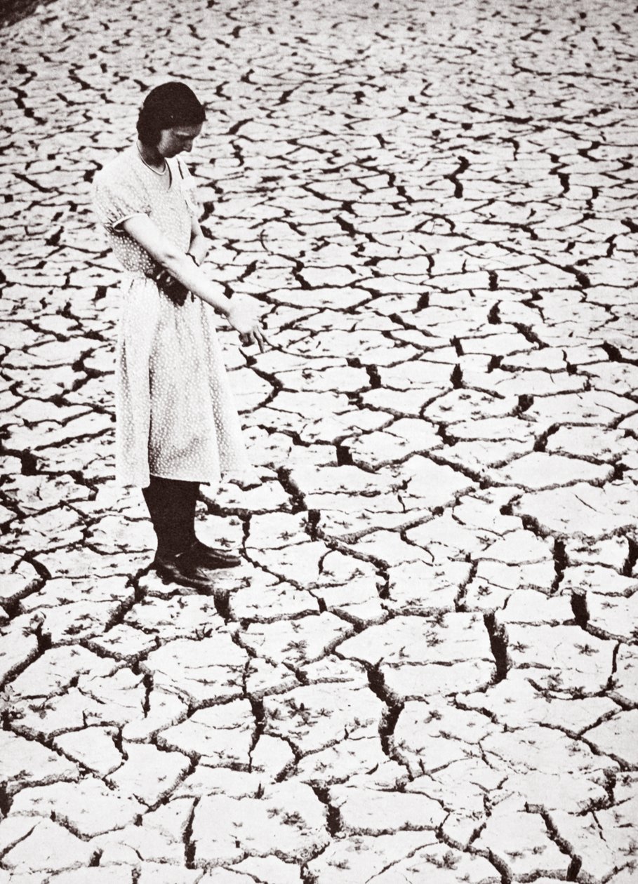 Tring Reservoir, Hertfordshire, 1934 von English Photographer