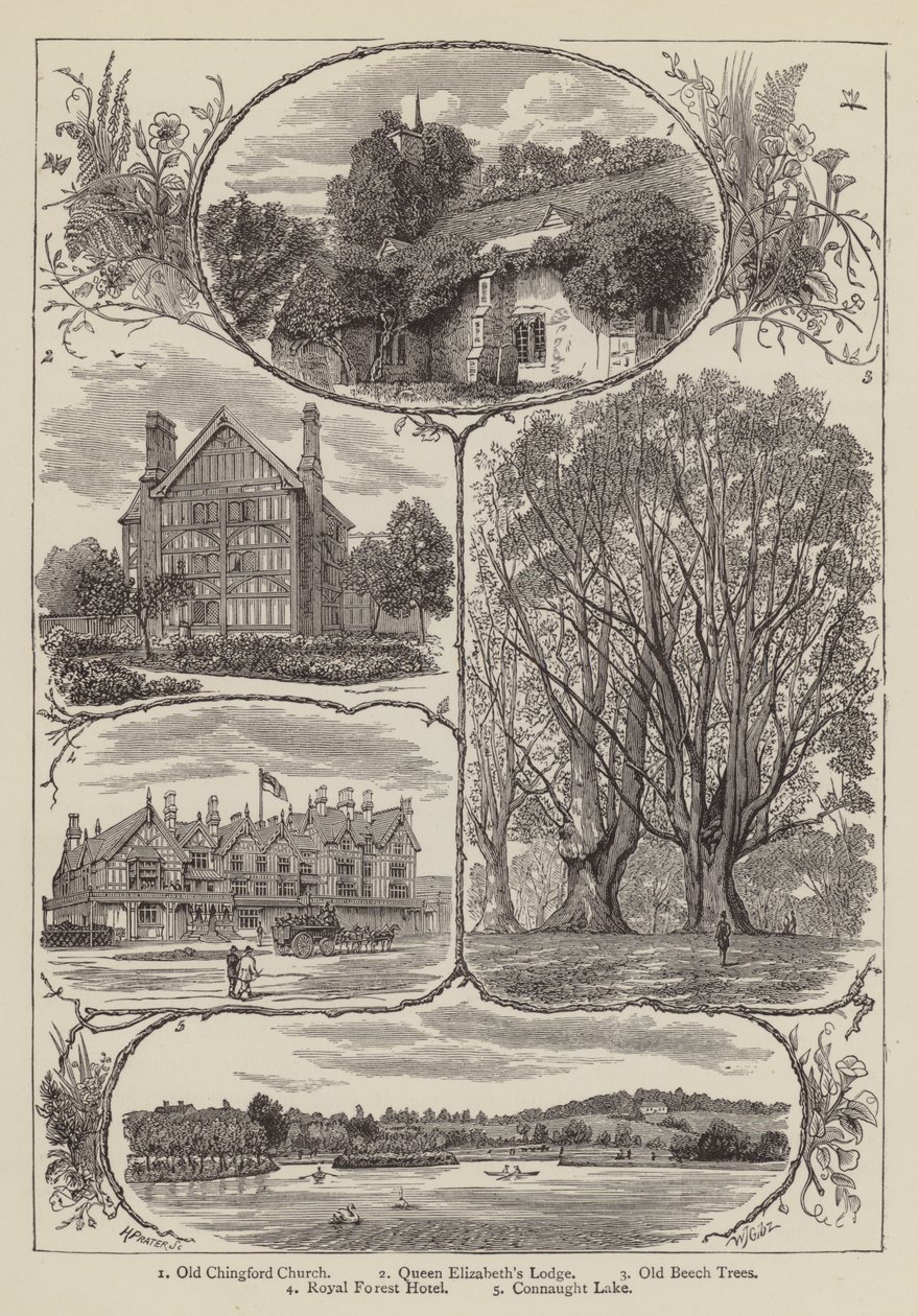 Chingford von English School