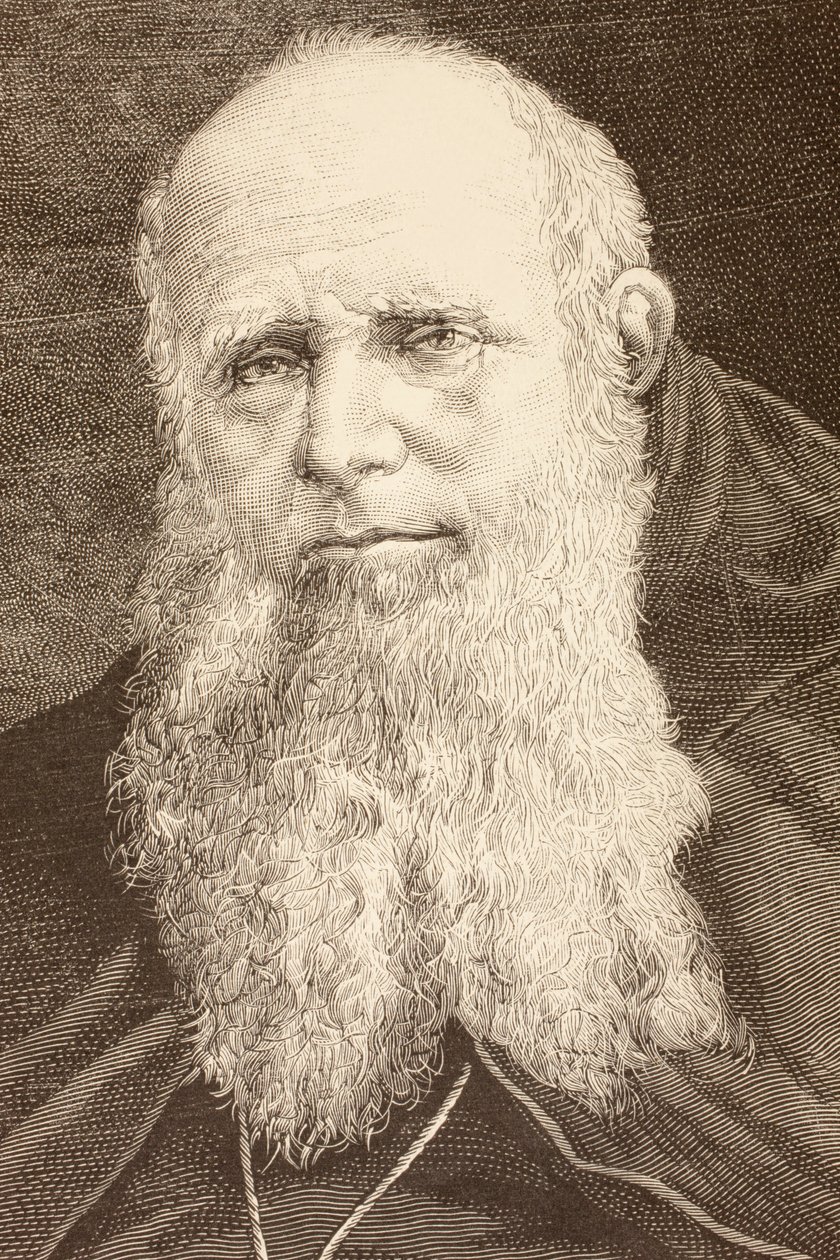Guglielmo Massaia (Litho) von English School