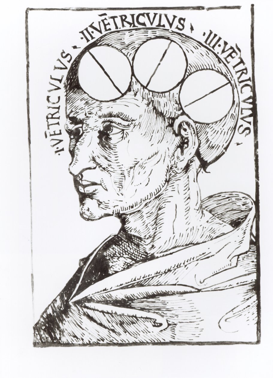 Phrenologie von English School