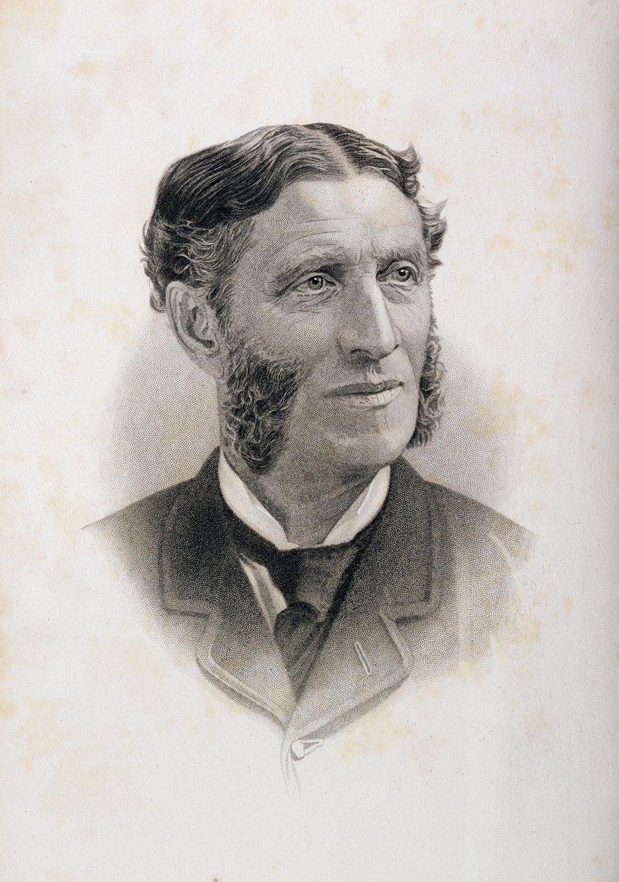 Porträt von Matthew Arnold (1822-88) von English School