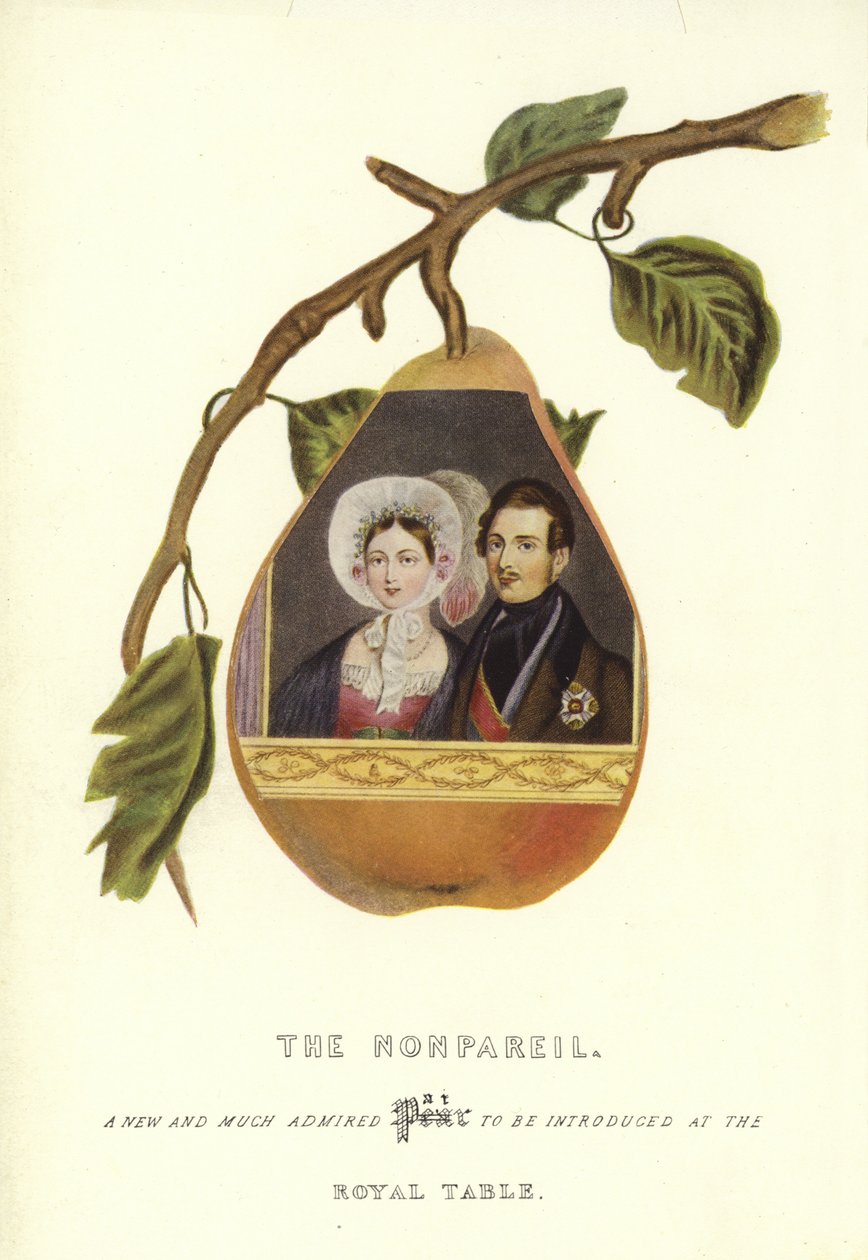 Der Nonpareil mit Porträts von Königin Victoria und Prinz Albert von English School