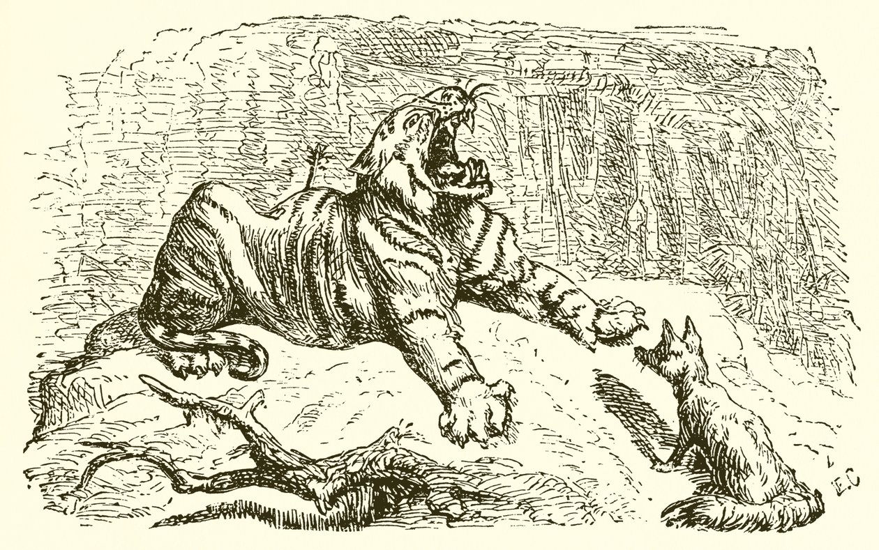 Der Fuchs und der Tiger von Ernest Henry Griset