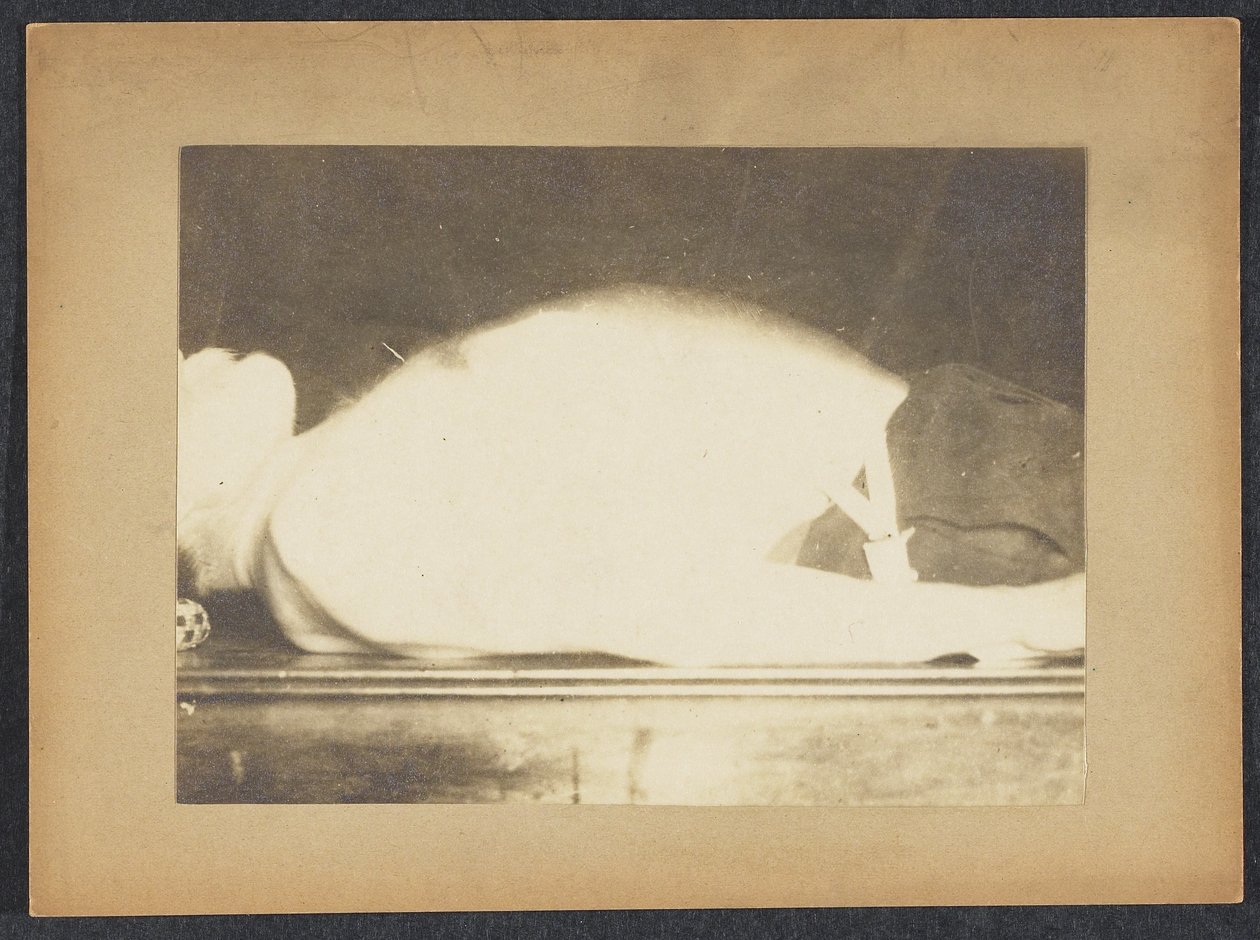 Marey in einer Studie der Atmung von Etienne Jules Marey