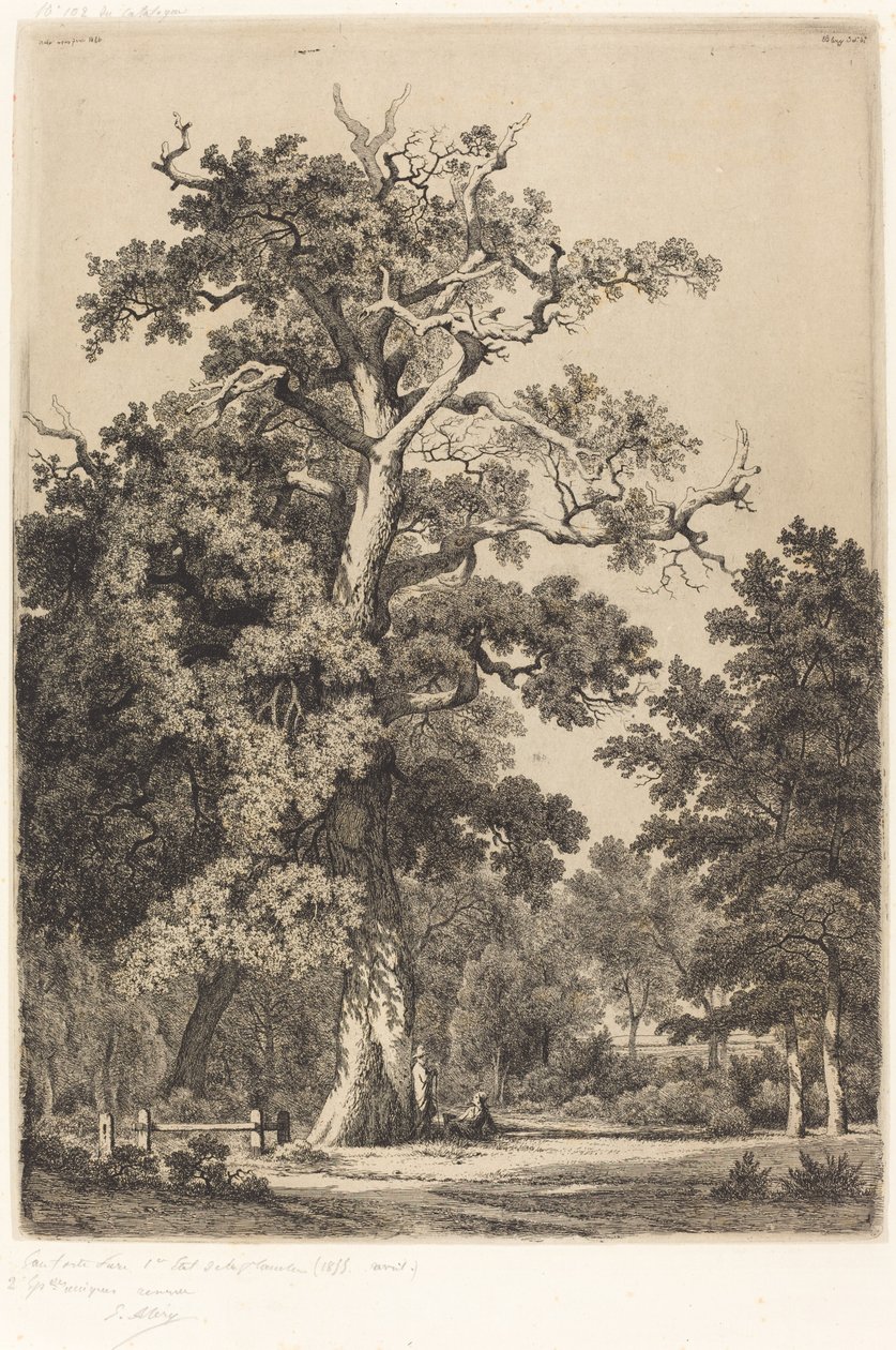 Alte Eiche im Bois de Boulogne von Eugene Bléry