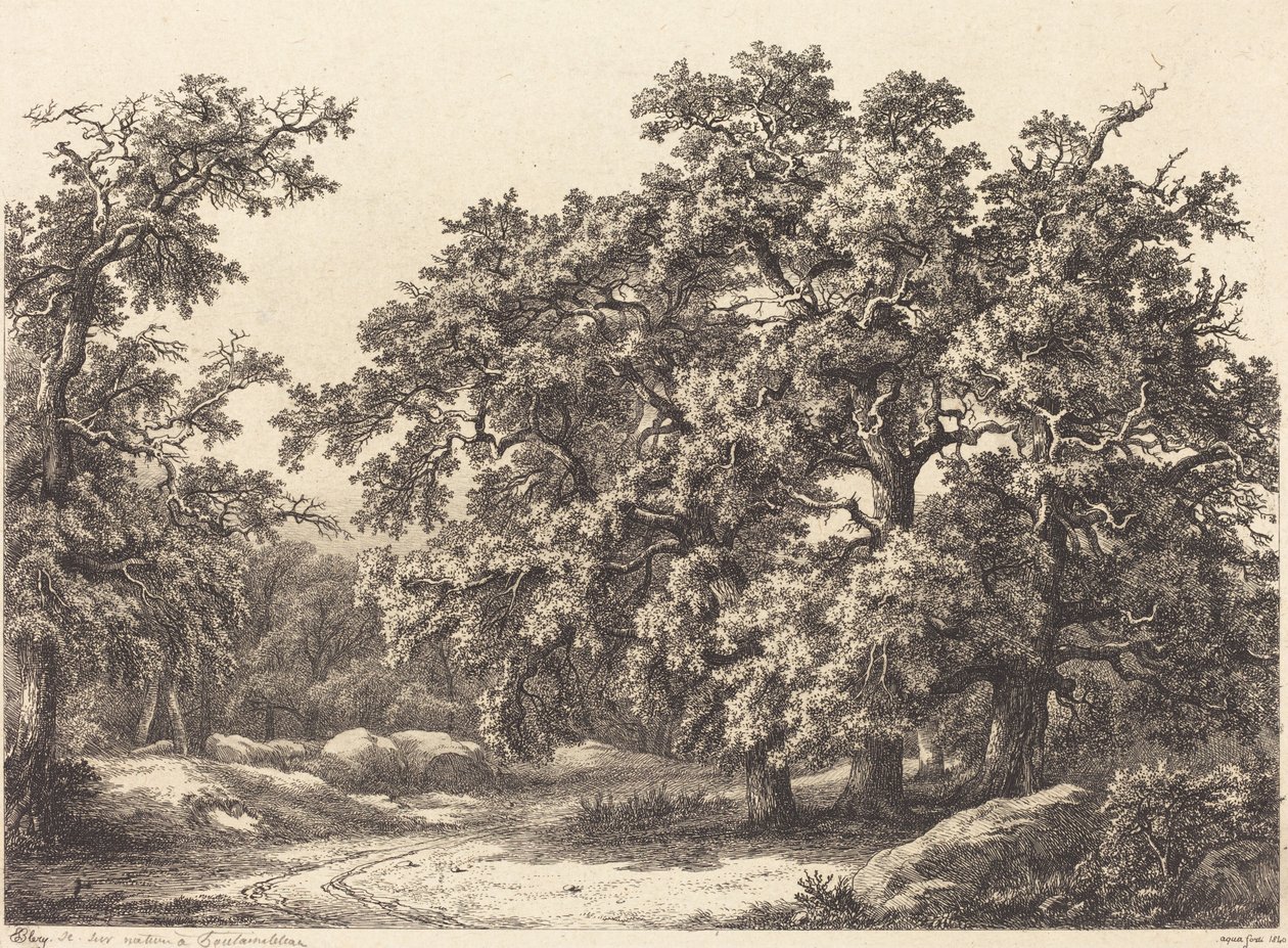 Eichen von Eugene Bléry