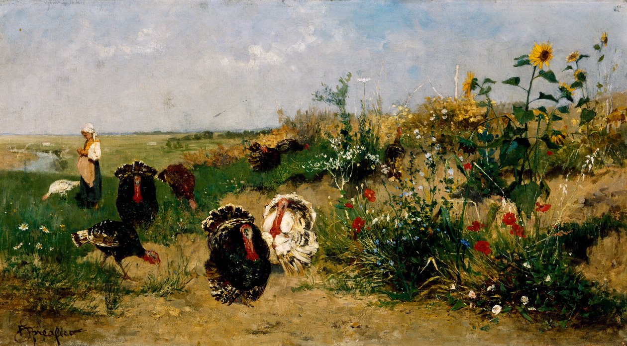 Truthähne von Eugenio Spreafico