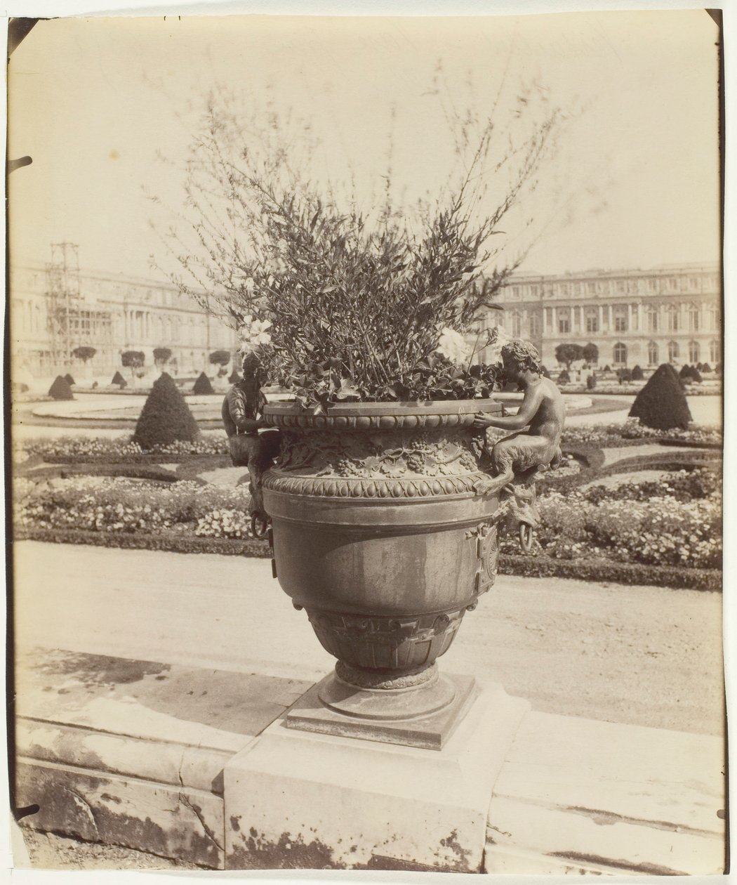 Versailles, Vase von Ballin, 1902 von Eugène Atget
