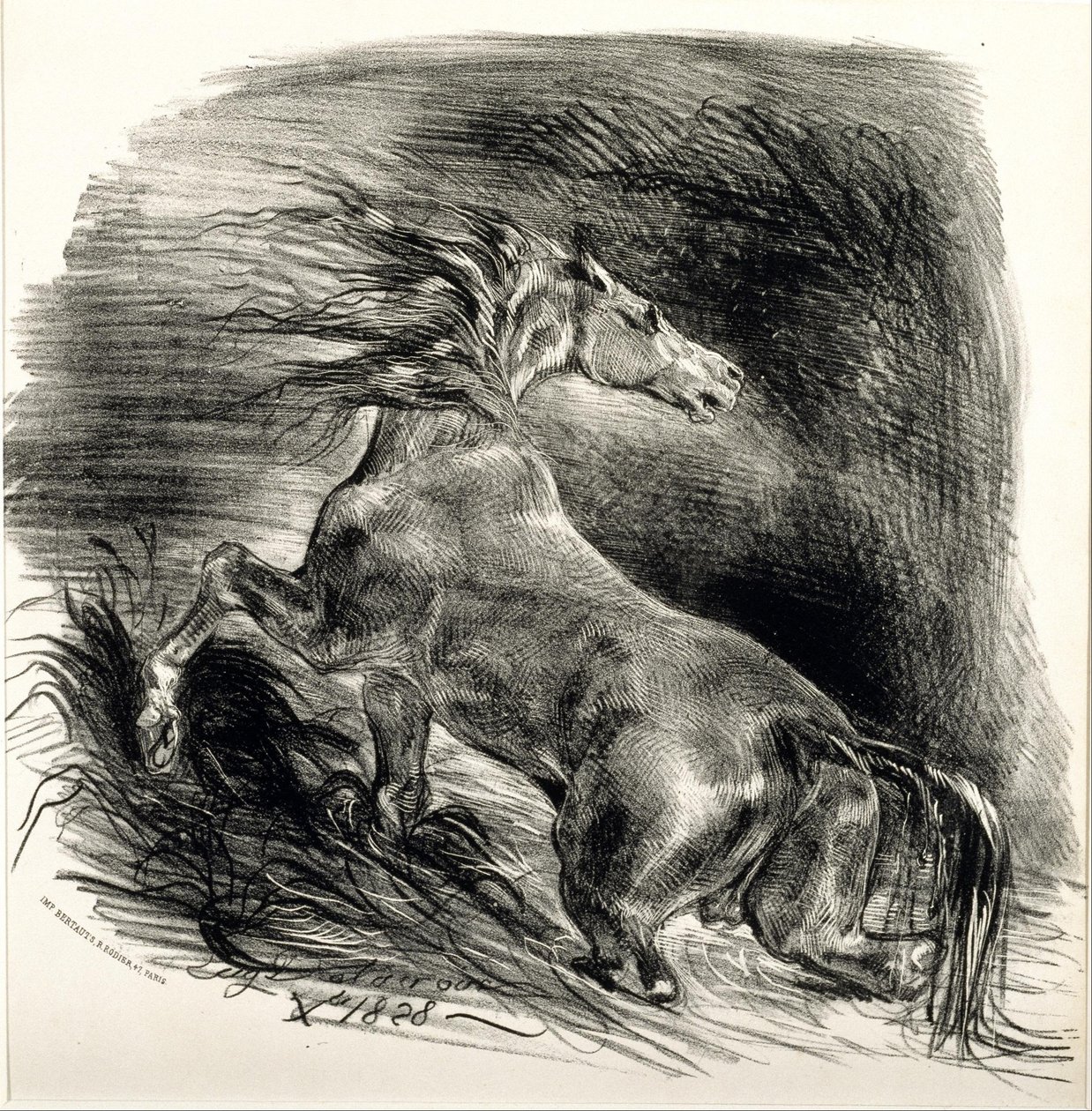 Wildes Pferd von Eugène Delacroix