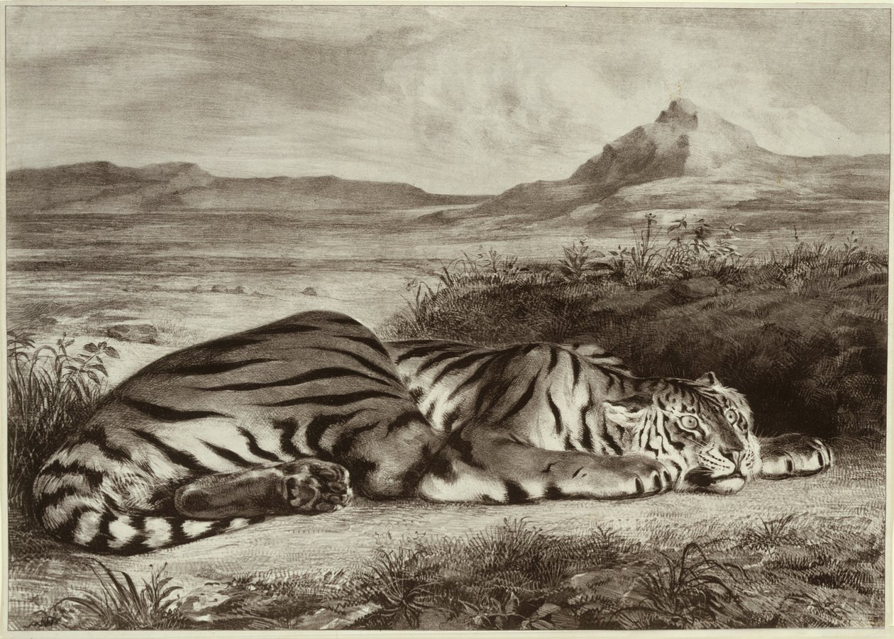 Königlicher Tiger von Eugène Delacroix