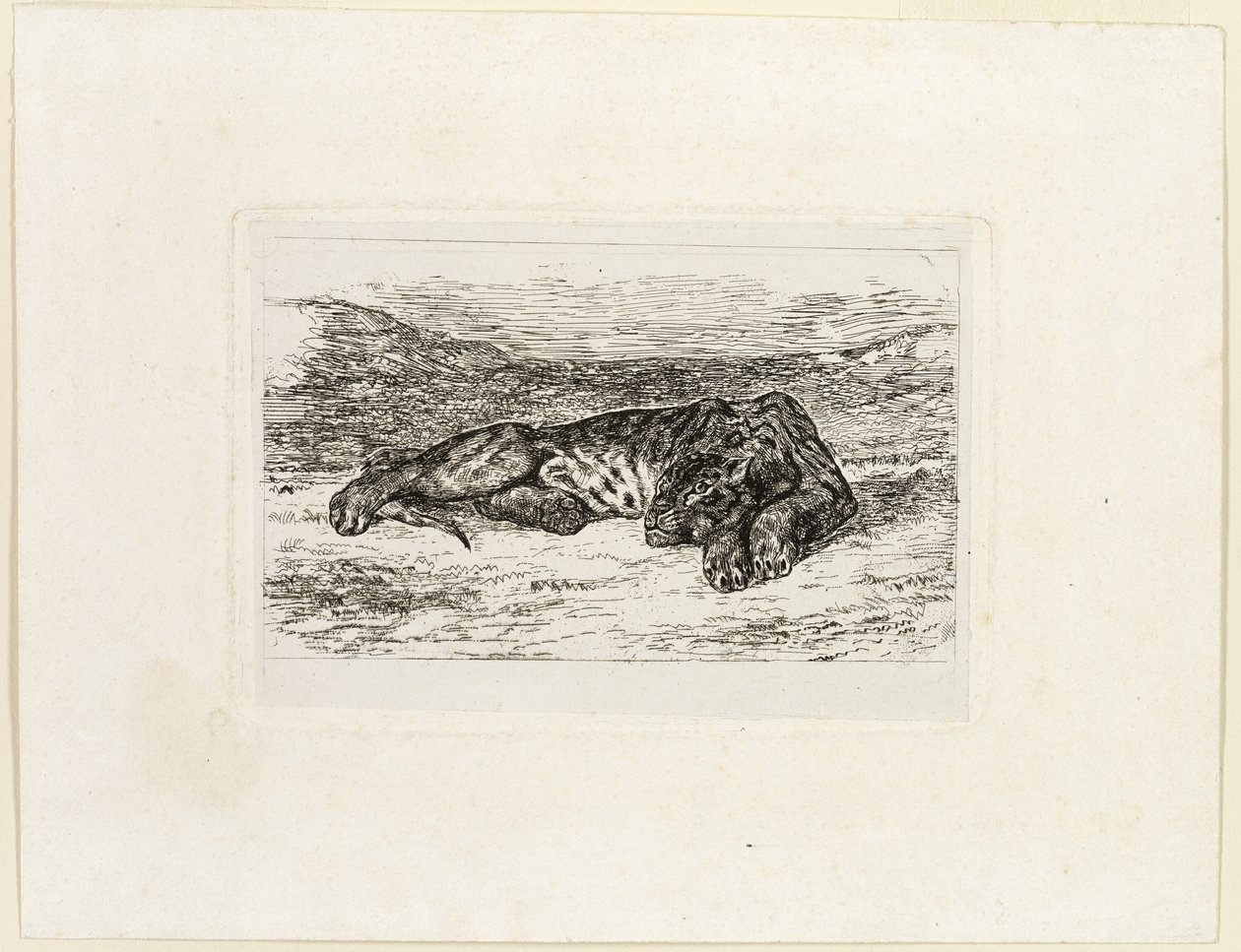 Tiger ruht in der Wüste von Eugène Delacroix