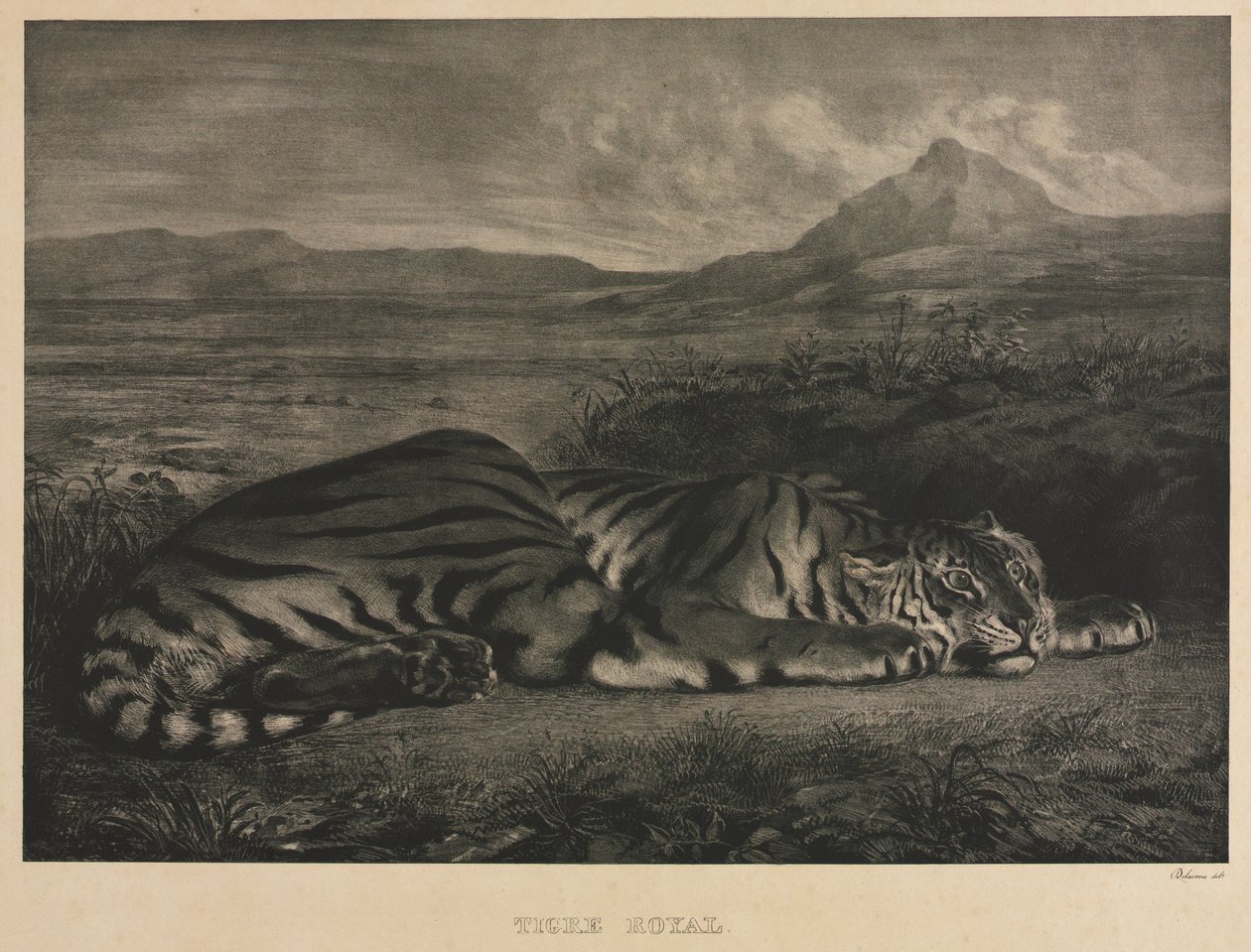 Königlicher Tiger von Eugène Delacroix