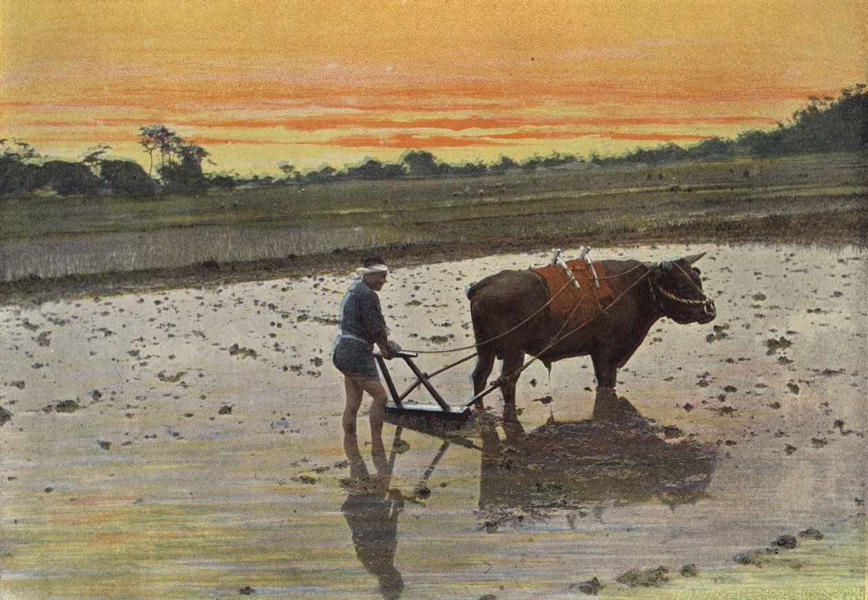 Vorbereitung eines Reisfeldes in Japan von European Photographer