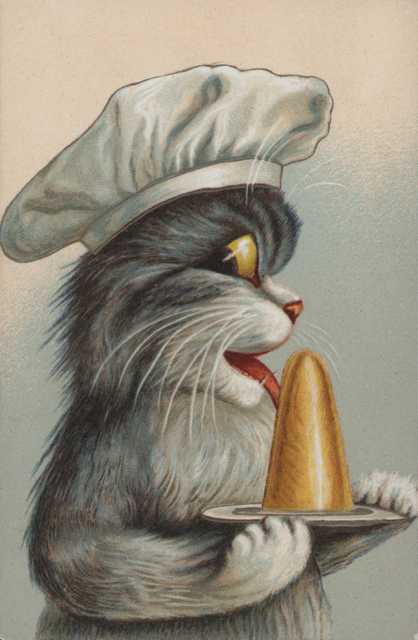 Katze mit einem Dessert von European School