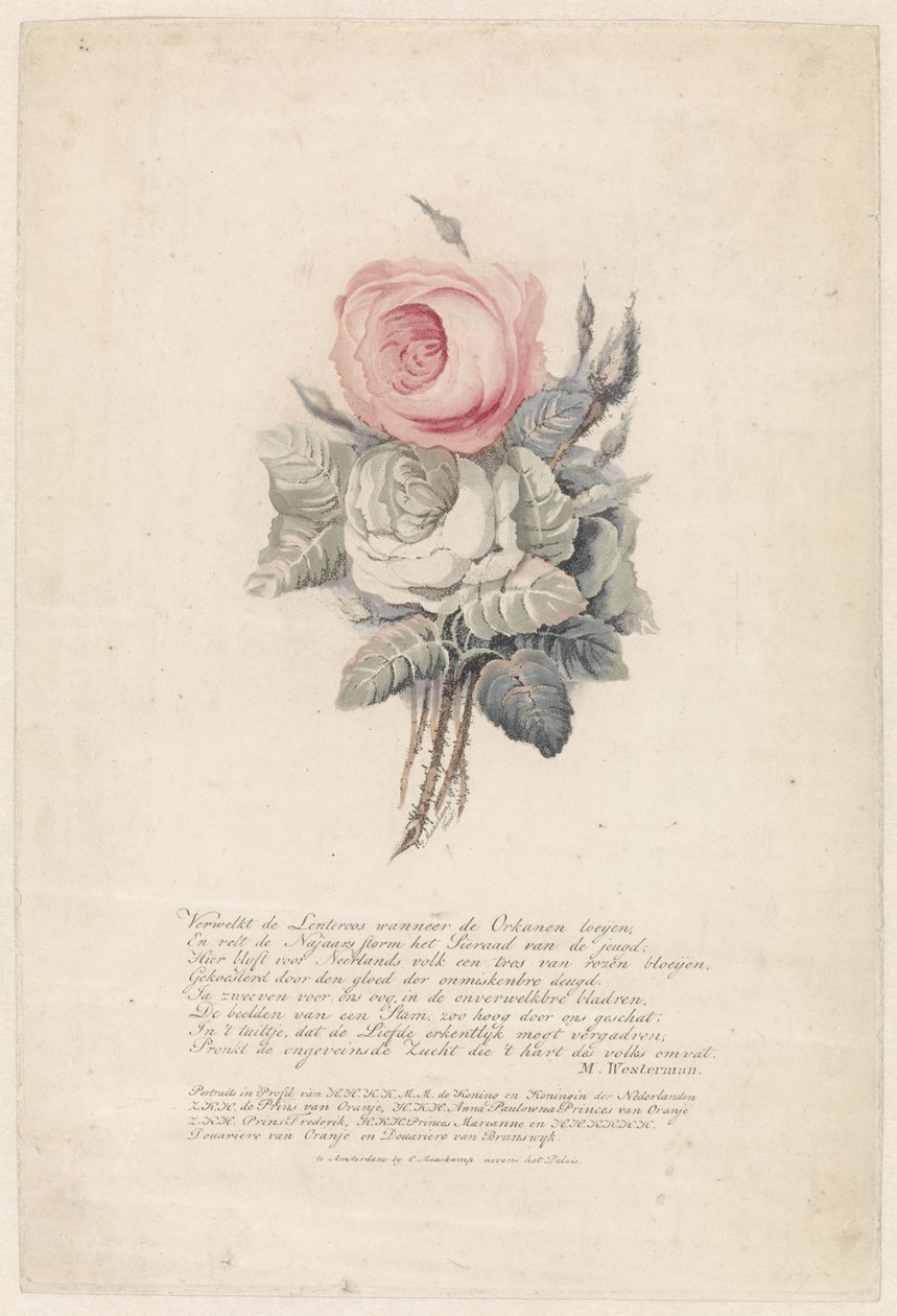 Rosen von Evert Maaskamp