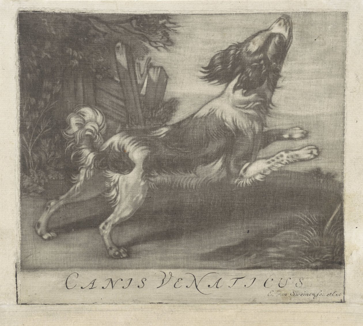Springender Hund von Evert van Sweinen