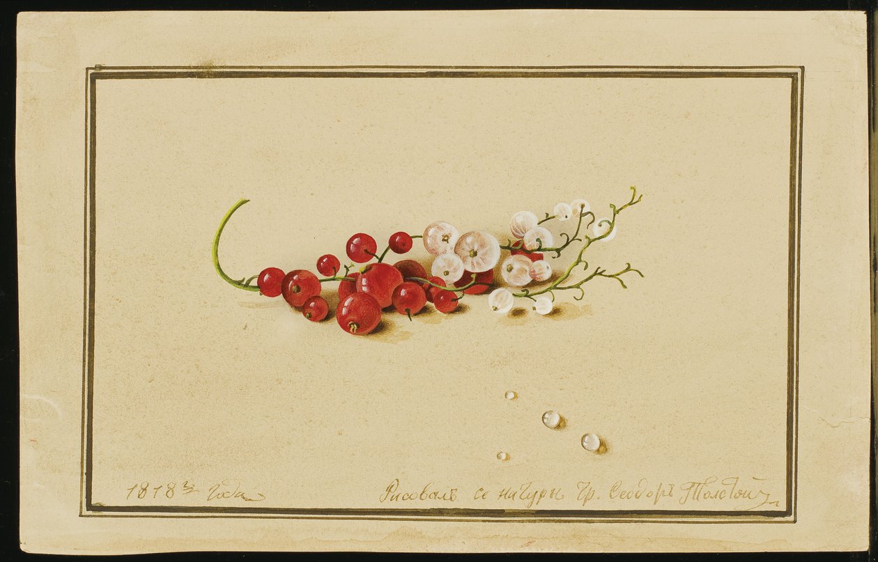 Rote und weiße Johannisbeeren, 1818 von Fedor Petrovich Tolstoy