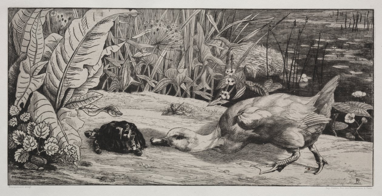 Ein Unbekannter von Felix Bracquemond