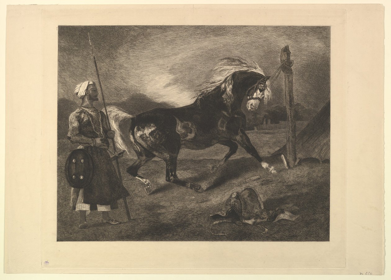 Cheval arabe au piquet, nach Delacroix von Felix Bracquemond