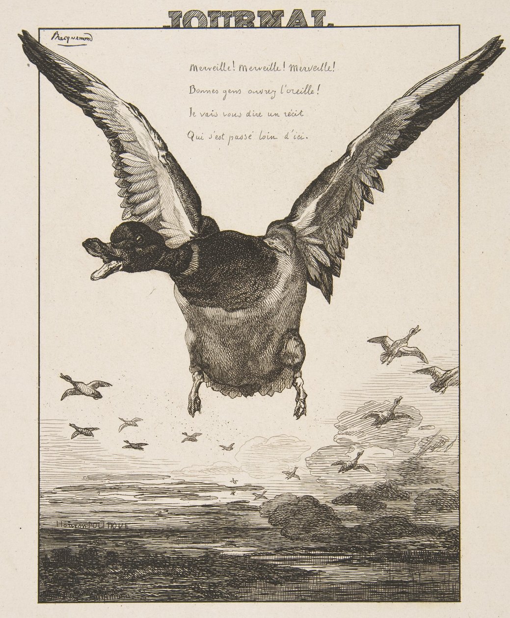 Die Ente von Felix Bracquemond