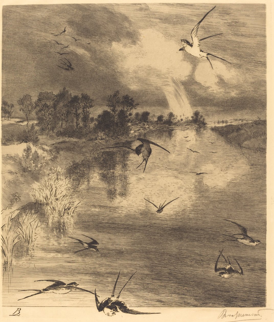 Die Schwalben von Felix Bracquemond