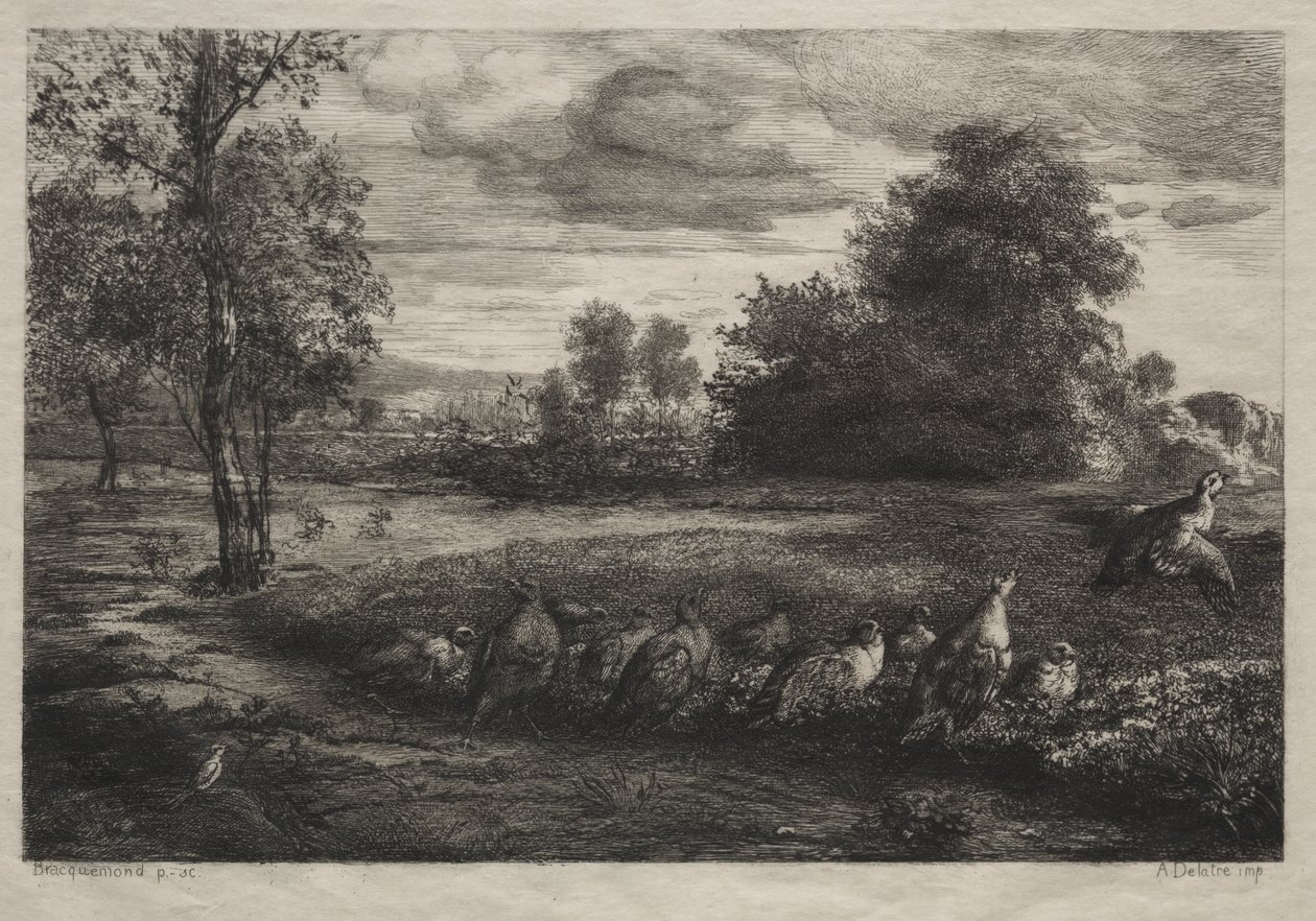 Der Ruf zur Ordnung von Felix Bracquemond