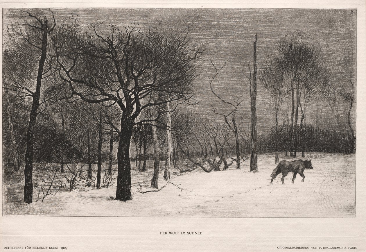 Winter von Felix Bracquemond
