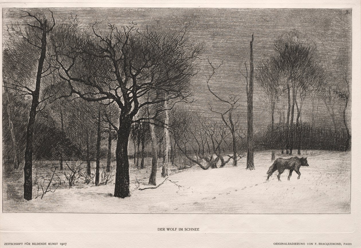 Winter, 1862 von Felix Bracquemond