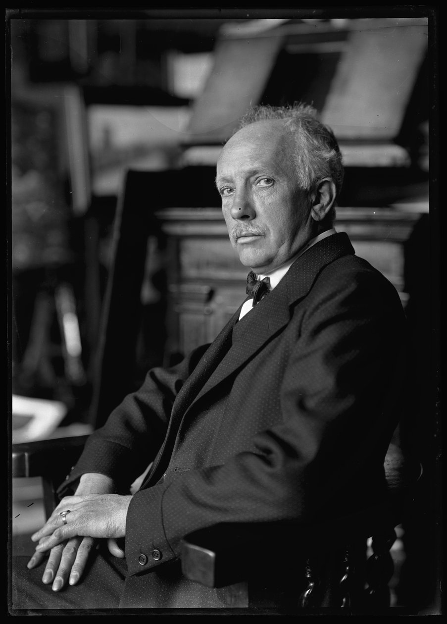 Bild von Richard Strauss (1864-1949) von Ferdinand Schmutzer