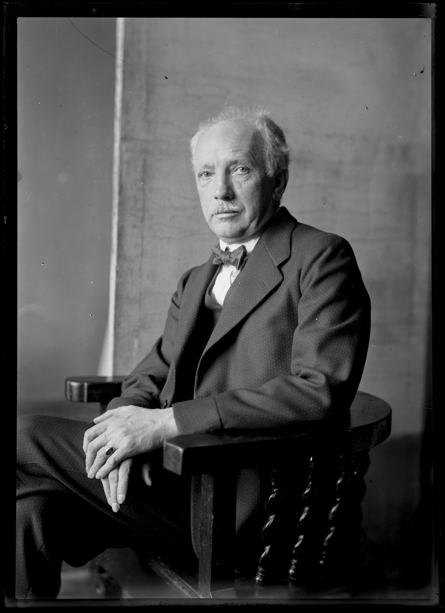 Bild von Richard Strauss (1864-1949) von Ferdinand Schmutzer