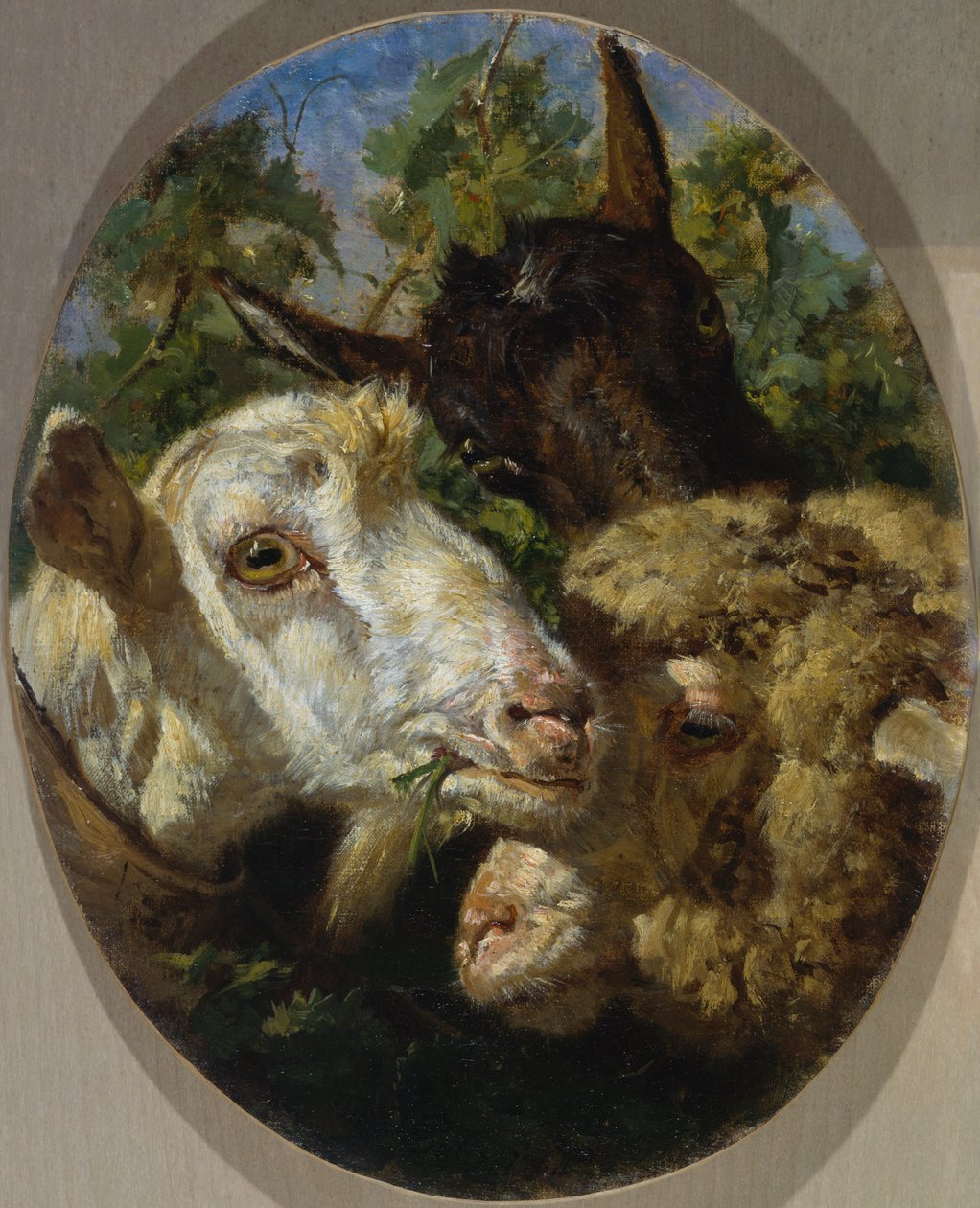 Tierköpfe von Filippo Palizzi