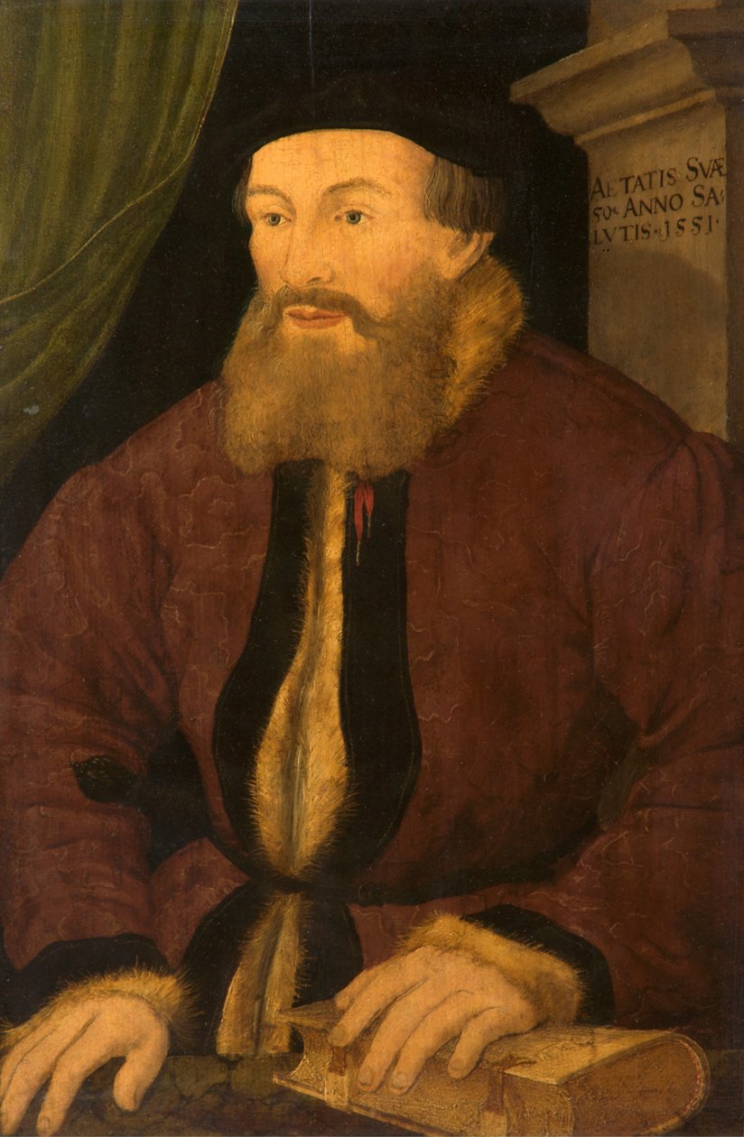 Porträt eines Mannes, 1551 von Flemish School