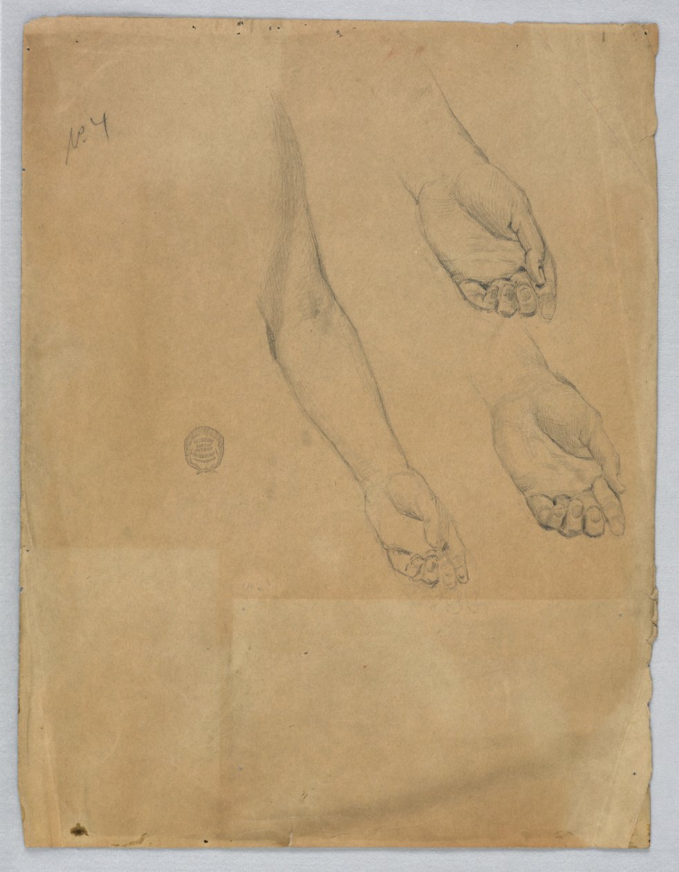 Drei Studien einer linken Hand von Francis Augustus Lathrop