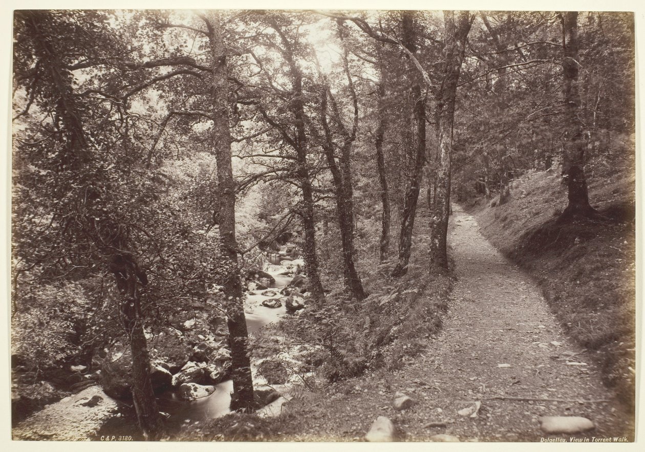 Dolgelley, Ansicht im Torrent Walk von Francis Bedford