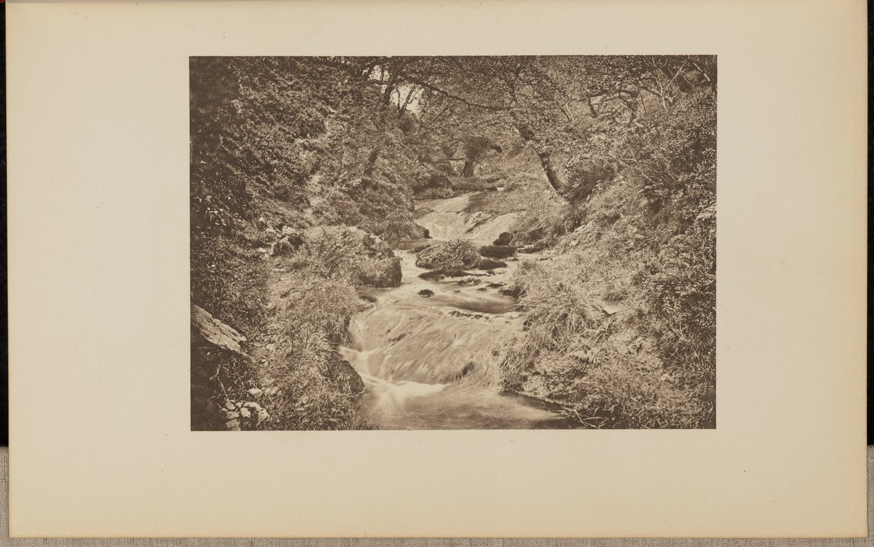 Die Wasserrutsche von Francis Frith and Co.